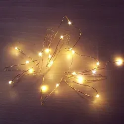 20er LED Lichterkette Kupferdraht warmweiß Batteriebetrieb BI11555