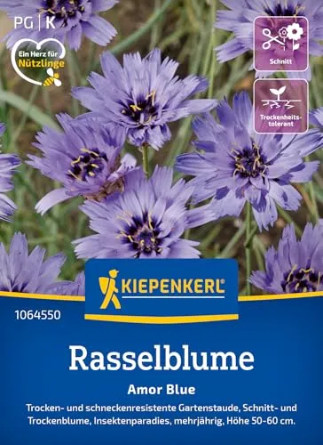 Produktbild Kiepenkerl Rasselblumensamen Amor Blue 1064550