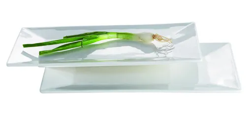 Mäser Trendy Line Rechteckige Platte 28 x 17 cm im 2er-Set - Speiseteller Set aus robustem Durable Porzellan, ideal für stilvolle Anlässe und den Alltag. Spülmaschinen- und mikrowellengeeignet, perfekt für jede Party!