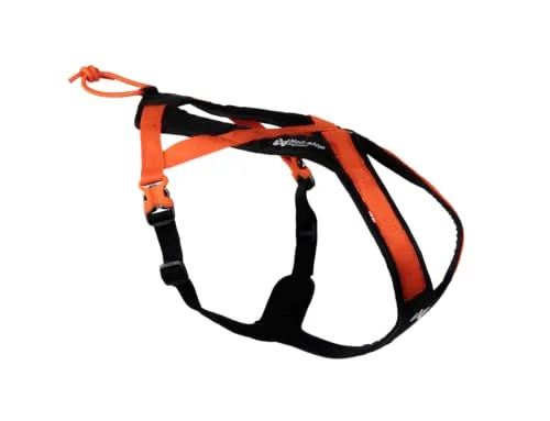 Hundegeschirr Rush Harness, Orange/Schwarz - Weiteres Autozubehör: Leichtes und verstellbares Hundegeschirr aus strapazierfähigem Nylon mit reflektierenden Streifen für bessere Sichtbarkeit und zwei Befestigungspunkten für mehr Flexibilität.