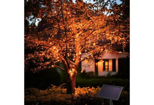 esotec LED-Lichterkette Solar 20m mit 200 bernsteinfarbenen LEDs - Lichterkette für den Außenbereich, 200 bernsteinfarbene LEDs sorgen für romantische Stimmung, energieeffizient mit Solarmodul für bis zu 10 Stunden Licht.