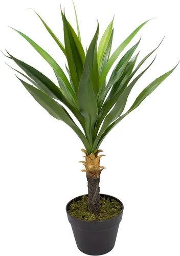 mucplants künstliche Yucca 75cm Kunstpalmen Palme Palmlilien Yuccapalme
