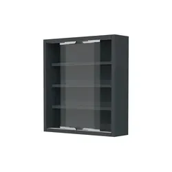 VCM Glasvitrine Agisa S Anthrazit - Moderne hängende Glasvitrine aus ESG-Sicherheitsglas mit 3 variablen Böden – ideal für platzsparende Aufbewahrung und stilvolle Präsentation Ihrer Sammlerstücke.