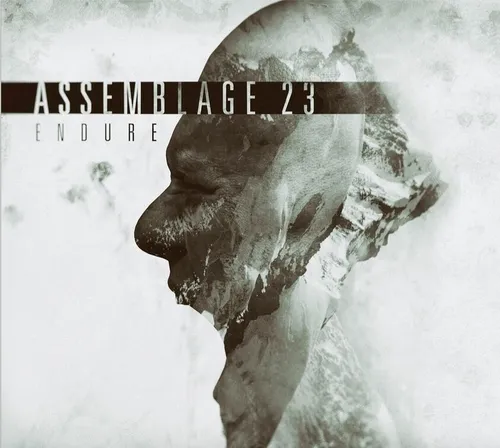 ASSEMBLAGE 23 Endure CD 2016