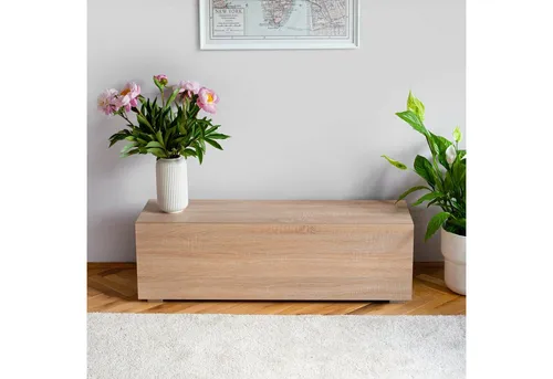 PLATAN ROOM TV-Lowboard 105 cm Sonoma Eiche - Hängend oder Stehend - Modernes TV-Lowboard 105 cm in Sonoma Eiche mit praktischem Stauraum und griffloser Front. Ideal für einen stilvollen Wohnbereich. Flexibel nutzbar: als Wandmontage oder freistehend.
