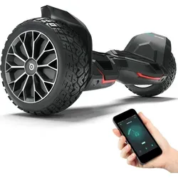 Bluewheel Hoverboard HX510