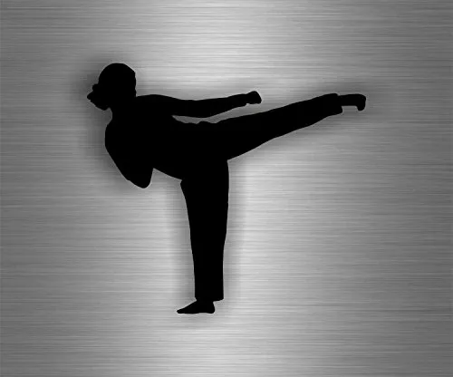 Aufkleber Sticker Auto Karate Arts Kampfsport Taekwondo Kung Fu r2