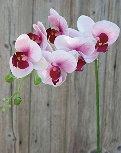 artplants.de Phalaenopsis Orchideenzweig künstlich Ophelia, rosa-pink, 80cm - Kunstzweig Orchidee - Seidenorchidee