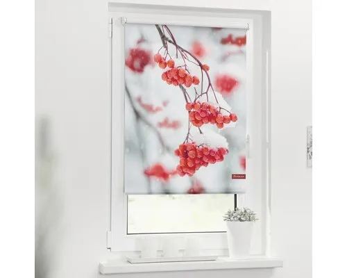 Lichtblick Rollo Klemmfix Vogelbeeren - Rot Weiß 120 x 150 cm - Blickdichtes Rollo mit hübschem Vogelbeeren-Motiv, einfach ohne Bohren zu montieren und ideal für Mietwohnungen. Schafft Gemütlichkeit und schützt vor Sonnenlicht.