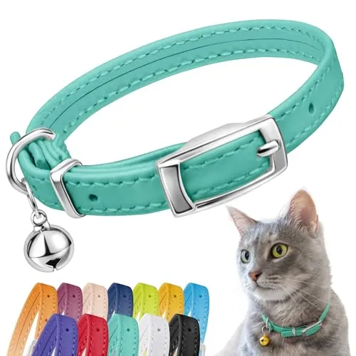 CollarDirect Leder Katzenhalsband mit Sicherheitsverschluss und Glocke, 23-28 cm, Mintgrün