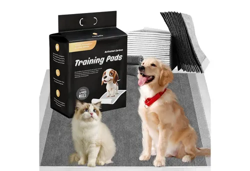 NANIPETS Hundematte Trainingspad für Hunde & Welpen, 80 Stück, 60 x 60 cm - Superabsorbierende Trainingspads mit 6-lagigem Design für zuverlässigen Auslaufschutz. Ideal für Sauberkeit in Ihrem Zuhause und vielseitig einsetzbar, z. B. in Kisten oder für nasse Pfoten.