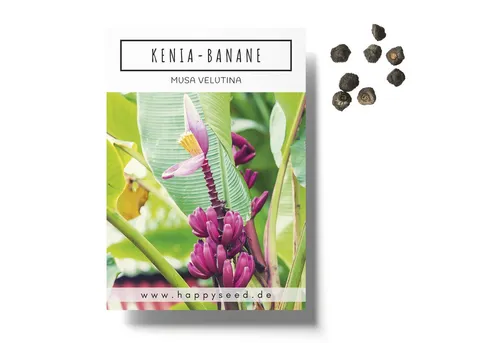 HappySeed Blumensamen Kenia Bananen Samen (Musa velutina) - Exotische rosa Zwergbanane, Blumen