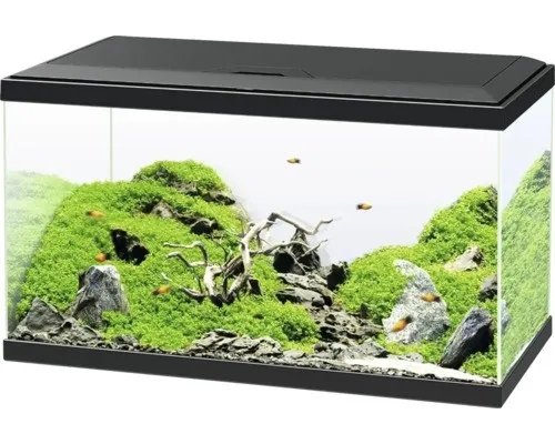 Ciano Aquarium Set 60 inkl. LED Beleuchtung in schwarz von Ciano