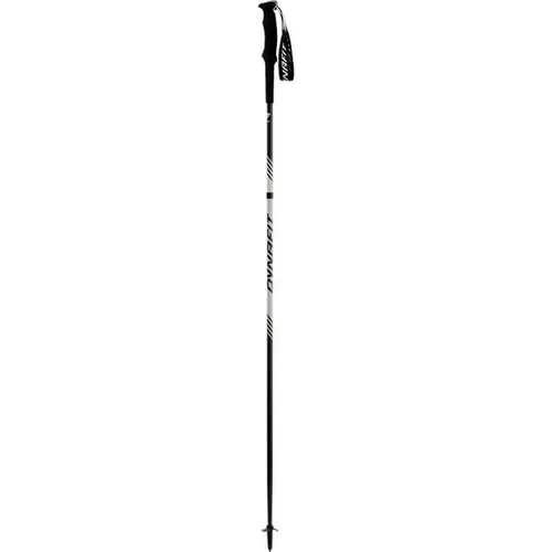 Dynafit Alpine Pro Stock