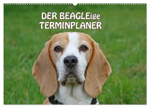 Antje Lindert-Rottke | DER BEAGLEige TERMINPLANER (Wandkalender 2026 DIN A2...