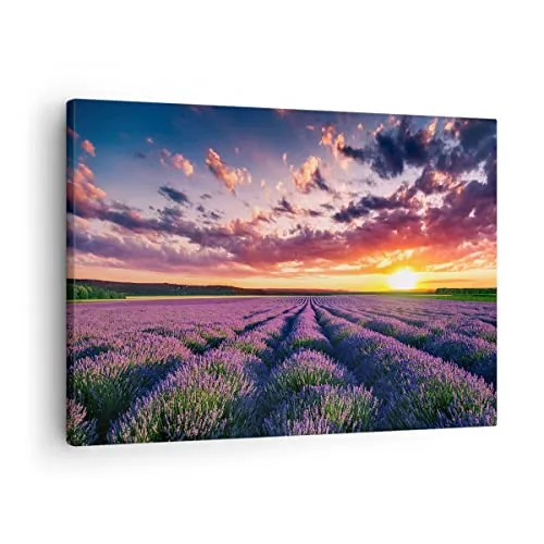 Bilder auf Leinwand Lavendel Berge Feld Leinwandbild mit Rahmen 70x50cm Wandbilder Dekoration Wohnzimmer Schlafzimmer Küche Deko Klein Wanddeko Bild Wand Kunstdruck Art Wall Decor Canvas AA70x50-3816