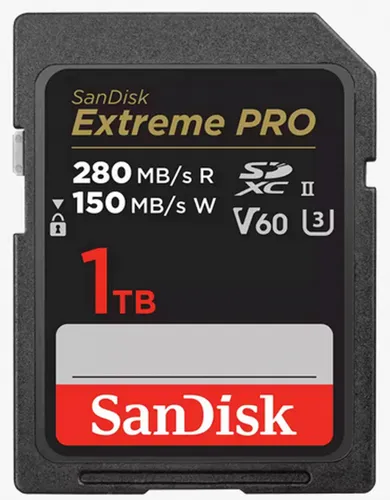 Flash-Speicher von SanDisk
