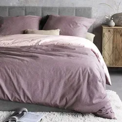 Irisette Bettwäsche Koala 8487, kuschelig weiche Winterbettwäsche - Bettwäsche-Set aus 100% Baumwolle, mit flauschigem Biberflor für warme Nächte, atmungsaktiv und trocknergeeignet, ideal für eine stilvolle Wohlfühloase.