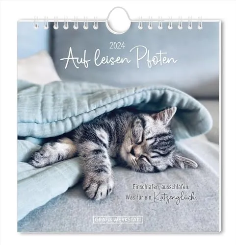 Postkartenkalender 2024 Auf leisen Pfoten: Postkartenkalender