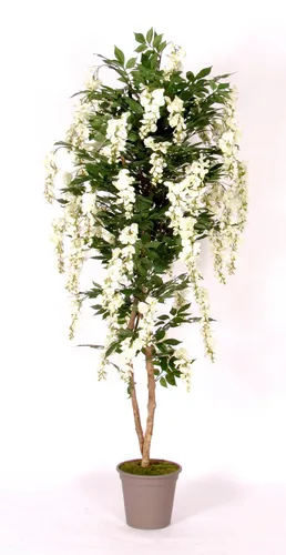 Kunstbaum Blauregen MALENKA, 175 cm, mit Blüten - Attraktiver Kunstbaum für die Innendekoration, 175 cm hoch, mit natürlichen Stämmen und lebendigen Blüten. Ideal für einladende Raumgestaltungen, pflegeleicht und langlebig.