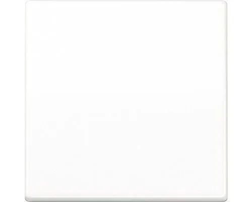 Jung Steuertaste Standard AS 1700 WW von Jung