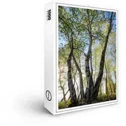 raxxa Puzzle Premium-Puzzle