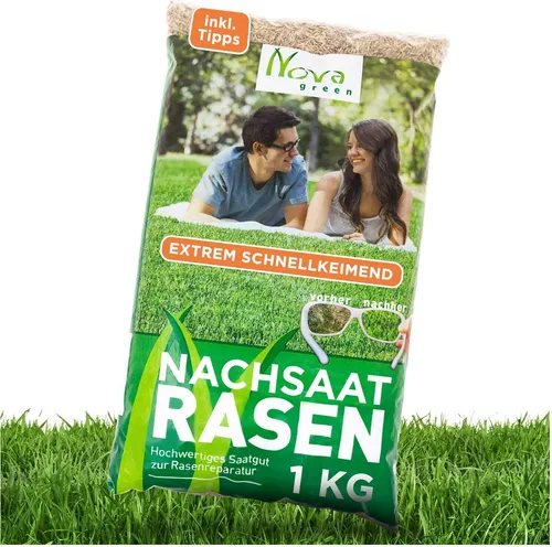 Rasensamen Nachsaat schnellkeimend 1kg=30-40m² Reparaturrasen schließt extrem schnell Lücken im Gras, für eine extra grüne, dichte Rasenfläche
