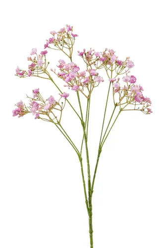 artplants Schleierkraut künstlich LITAGO, lila, 70cm