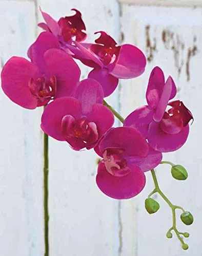 artplants.de Phalaenopsis Orchideenzweig künstlich Ophelia, pink, 80cm - Kunstzweig Orchidee - Seidenorchidee