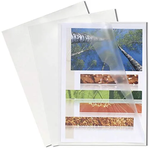 Exacompta 58500E - 100er Pack PP-Kunststoff Aktenhüllen, transparent genarbt für DIN A4, ideal für die sichere Dokumentenaufbewahrung