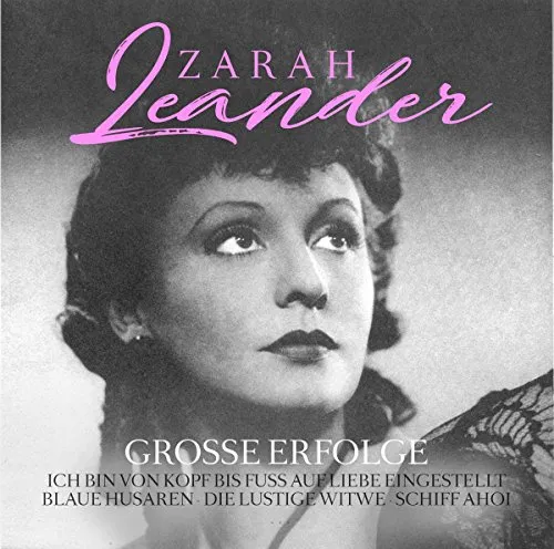 Große Erfolge [Vinyl LP]