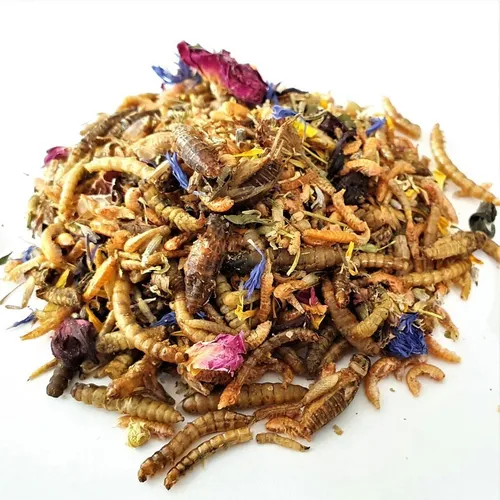 WachtelGlück® Insekten Mix Sommeredition