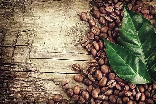 Queence Küchen Spritzschutz Kaffeebohnen 60x40 cm - Spritzschutz für die Küche aus hitzebeständigem Alu-DiBond, schützt vor Fettspritzern und ist leicht zu reinigen. Ideal für Herd und Spüle, modernes Design als Blickfang.