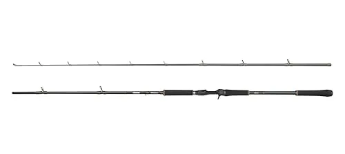 Abu Garcia Beast X Casting Rod - Vielseitige Angelrute für Hecht & Zander - Angelruten für Süßwasserangler: Leichtes 30T Carbon-Design für optimale Leistung und Komfort bei langen Sessions.
