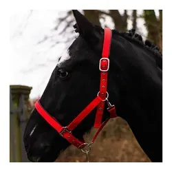 Pferdelinis Halfter Pferde Halfter Full, Cob, Kaltblut, Pony, verstellbare Dornschnallen, zweifach verstellbar rot Kaltblut