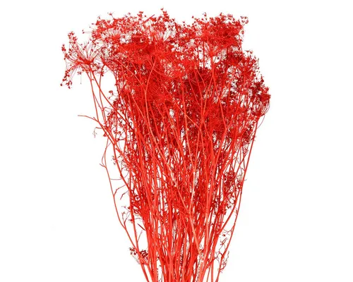 Trockenblume Eleganter Trockenblumen-Strauß für Dekoration und, Florists Products, Höhe 12 cm