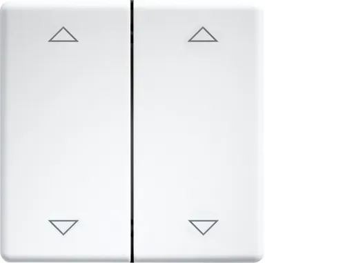 Eltako Doppelwippe lasergraviert DW-FT55-wg+2P Bussystem-Tastwippen 30000985