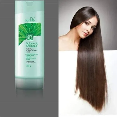 Volume-Up Shampoo „Aloe Rich“ mit Aloe Vera -für Fettiges und Volumeloses Haar