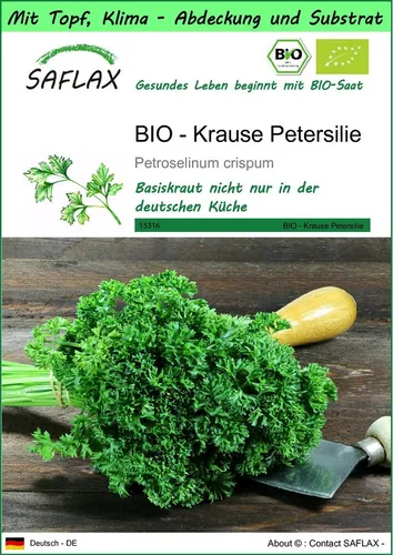 SAFLAX Kräutersamen SAFLAX - Garden to go - BIO - Krause Petersilie