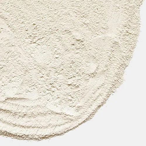 Terra Exotica 25 kg Lehmpulver, Naturlehm als Bodengrund für Terrarien, Lehm (Weiß)