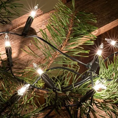 hellum Lichterkette innen strombetrieben, mini Lichterkette 35er Ersatzbirnen klare warme Lichter, beleuchtete 5,10m, Kabel grün 35 Lichter mit Stecker für Weihnachten 152463