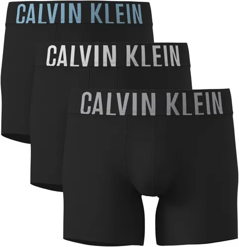 Calvin Klein Underwear Boxer BOXER BRIEF 3PK – Schwarz M (50) mit Logo-Stretchbund - Hochwertige Boxer Briefs im 3er-Pack mit elastischem Bund für optimalen Tragekomfort. Ideal für den Alltag, aus elastischem Baumwollmix gefertigt, maschinenwaschbar und in modernem Design.