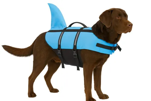 Nobby Hunde Schwimmweste Sharki mit Haiflosse hellblau - Rettungswesten für Hunde, mit coolem Haiflossendesign für optimale Sichtbarkeit und Sicherheit beim Schwimmen.