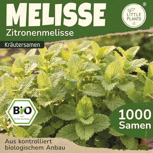 Saatgut von Little Plants