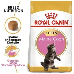 Royal Canin Kitten Maine Coon Katzenfutter 2 kg von Royal Canin