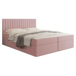 MIRJAN24 Boxspringbett Tirulo 140x200 cm mit 2 Bettkästen - Rosa - Stylisches Boxspringbett Tirulo in Rosa mit 2 praktischen Bettkästen für zusätzlichen Stauraum. Ideal für ein gemütliches Schlafzimmer und optimalen Schlafkomfort.