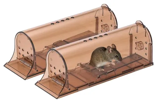Exbuster Mausefalle Lebend: 2er-Set Mäuse-Lebendfallen mit Luftlöchern, extragroß, 19 x 6,2 x 7 cm (Mäusefalle ohne Verletzung, wetterbeständige Falle)
