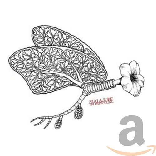 Trompe-l'Oeil (Digipack)