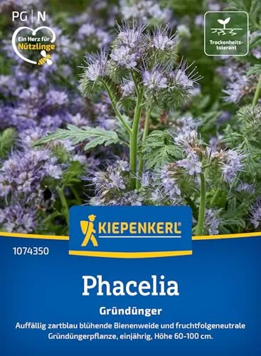 Kiepenkerl Phaceliasamen Bienenfreund 1074350 von Kiepenkerl