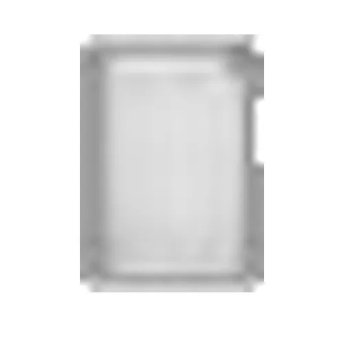 RAM Weiß von Patriot